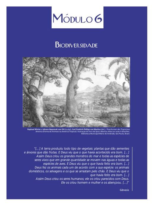 Capa de Meio Ambiente na Escola: Guia do Formador, vol. 4