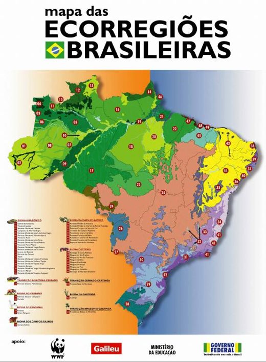 Capa de Meio Ambiente na Escola: mapa (material de apoio)